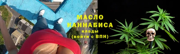 метадон Богданович